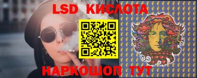 стафф Гатчина