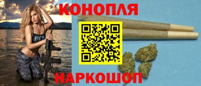 ешки Гай