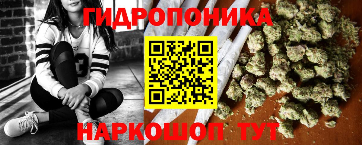 Конопля семена  Канабис план  Заинск  Марихуана конопля  Вход с VPN 